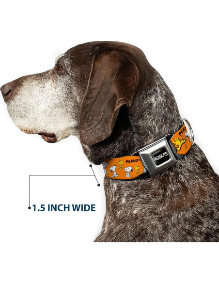 Collar para Perro Peanuts Buckle-Down 24.1-33 cm Naranja