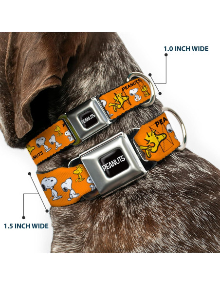Collar para Perro Peanuts Buckle-Down 24.1-33 cm Naranja