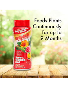Fertilizante para Plantas Dynamite 0.45 kg - Flores y Verduras 2