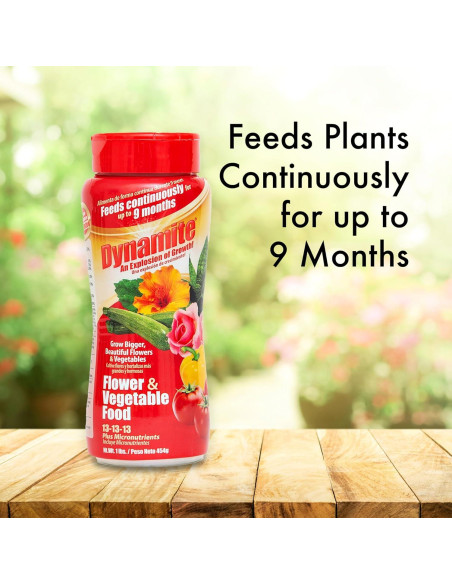 Fertilizante para Plantas Dynamite 0.45 kg - Flores y Verduras
