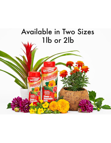 Fertilizante para Plantas Dynamite 0.45 kg - Flores y Verduras