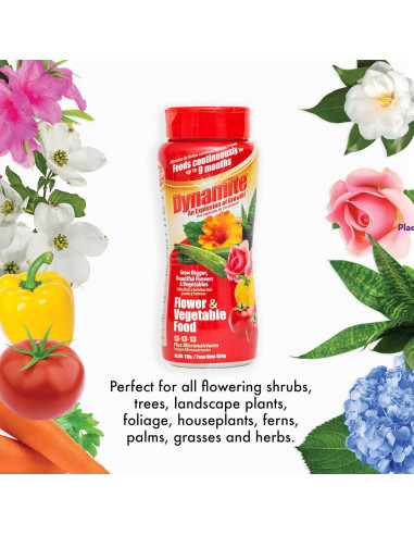 Fertilizante para Plantas Dynamite 0.45 kg - Flores y Verduras