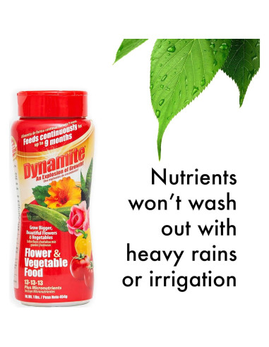 Fertilizante para Plantas Dynamite 0.45 kg - Flores y Verduras