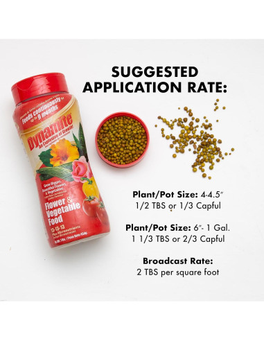 Fertilizante para Plantas Dynamite 0.45 kg - Flores y Verduras