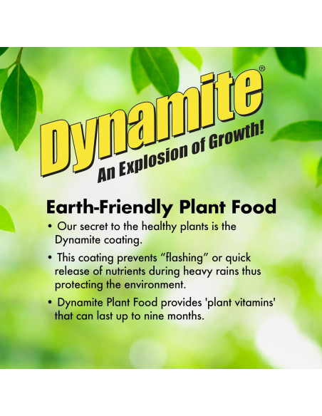 Fertilizante para Plantas Dynamite 0.45 kg - Flores y Verduras