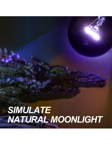 Lámpara de Calor Nocturna WACOOL 75W para Reptiles y Anfibios