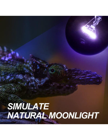 Lámpara de Calor Nocturna WACOOL 75W para Reptiles y Anfibios