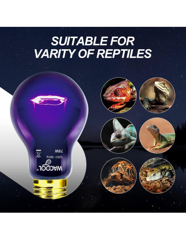 Lámpara de Calor Nocturna WACOOL 75W para Reptiles y Anfibios