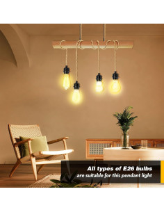 Cordón de luz colgante enchufable LYOOWNG 4.57 m E26/E27 2