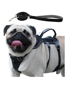 Arnés y Correa para Perros Wuffley XS Negro, Reflectante