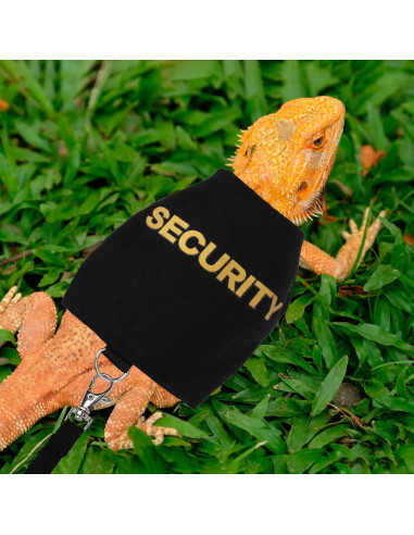 Conjunto Arnés y Correa Ajustable ADOGGYGO para Dragón Barbudo