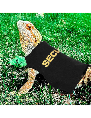 Conjunto Arnés y Correa Ajustable ADOGGYGO para Dragón Barbudo