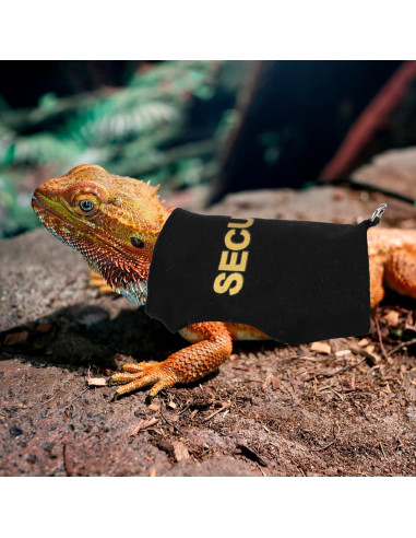 Conjunto Arnés y Correa Ajustable ADOGGYGO para Dragón Barbudo