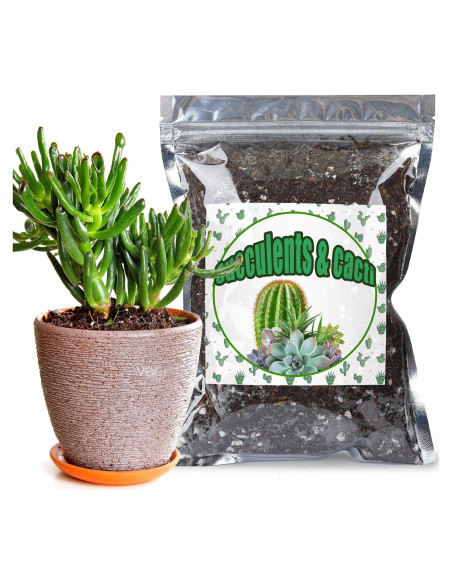 Mezcla de Suelo para Cactus y Suculentas 0.22kg Doter