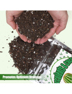 Mezcla de Suelo para Cactus y Suculentas 0.22kg Doter 2