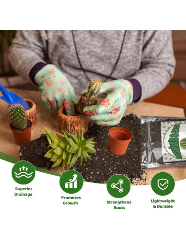 Mezcla de Suelo para Cactus y Suculentas 0.22kg Doter