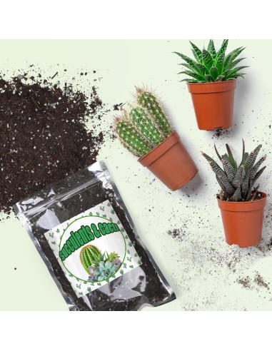 Mezcla de Suelo para Cactus y Suculentas 0.22kg Doter