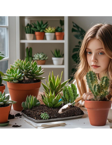 Mezcla de Suelo para Cactus y Suculentas 0.22kg Doter