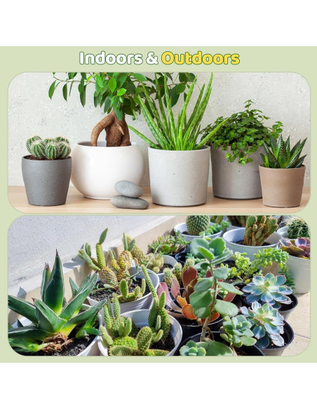 Mezcla de Suelo para Cactus y Suculentas 0.22kg Doter