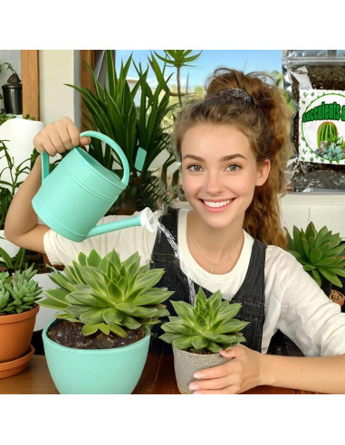 Mezcla de Suelo para Cactus y Suculentas 0.22kg Doter