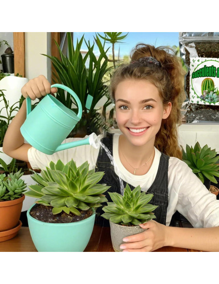 Mezcla de Suelo para Cactus y Suculentas 0.22kg Doter