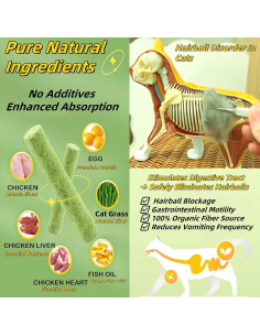 6 Palitos de Hierba Natural para Gatos - Snack Masticable NSWXZDS 2