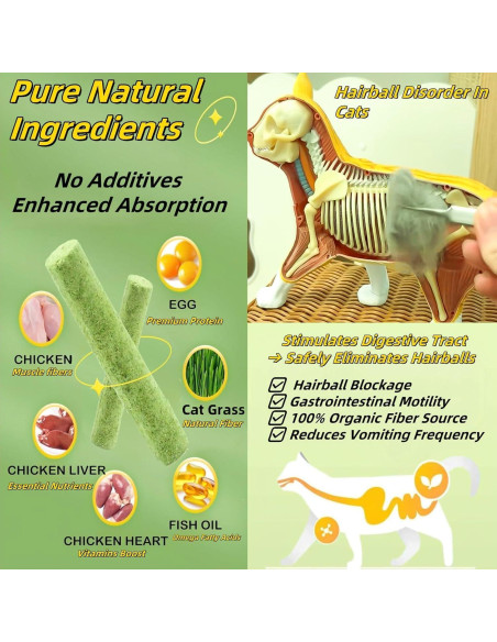 6 Palitos de Hierba Natural para Gatos - Snack Masticable NSWXZDS