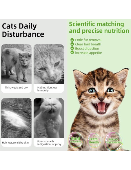 6 Palitos de Hierba Natural para Gatos - Snack Masticable NSWXZDS