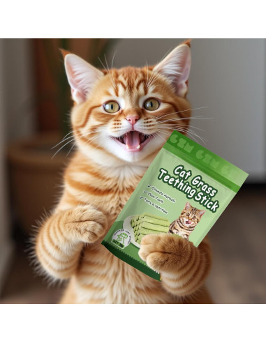 6 Palitos de Hierba Natural para Gatos - Snack Masticable NSWXZDS