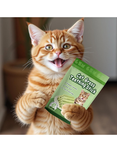 6 Palitos de Hierba Natural para Gatos - Snack Masticable NSWXZDS