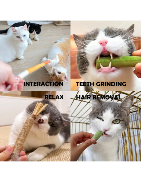 6 Palitos de Hierba Natural para Gatos - Snack Masticable NSWXZDS