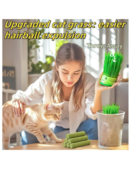 6 Palitos de Hierba Natural para Gatos - Snack Masticable NSWXZDS