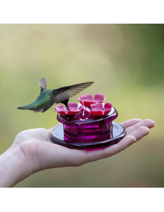 Alimentador de Colibríes de Mano y Mesa Perky-Pet 9100 - 59 ml 2