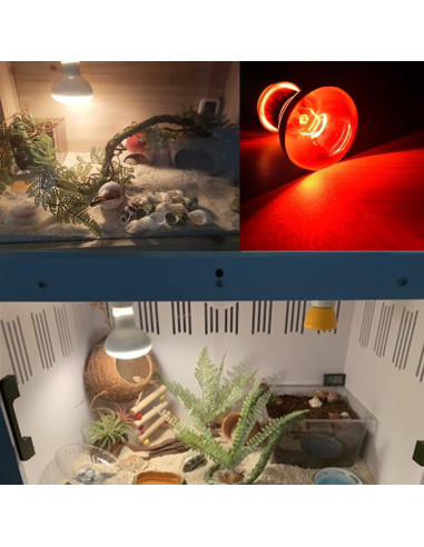 Conjunto de Lámpara de Calor para Reptiles AIICIOO 150W