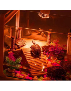 Paquete de 4 bombillas de calor UVA 25W Abustle Pig para reptiles 2