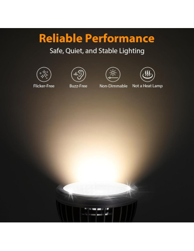 Lámpara LED UVB 5W ReptitriP para Reptiles - 5% UVB