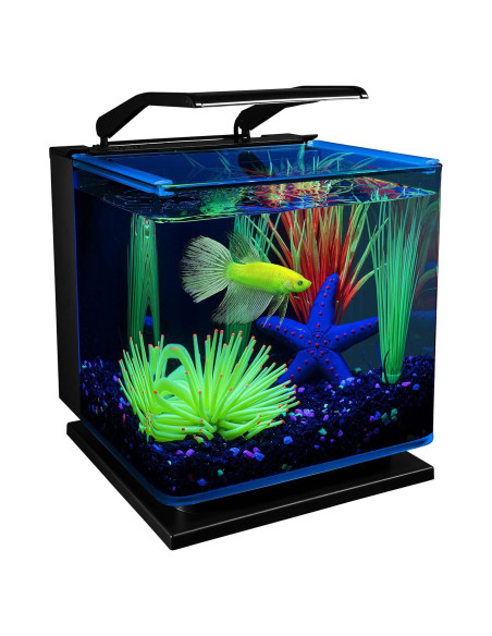 Kit Acuario GloFish Betta 11.36L LED Filtración Tetra