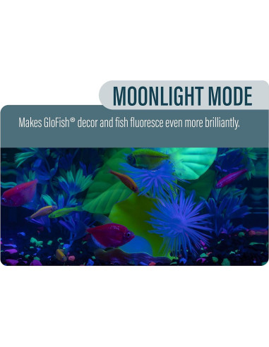 Kit Acuario GloFish Betta 11.36L LED Filtración Tetra