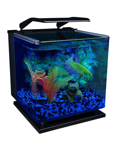 Kit Acuario GloFish Betta 11.36L LED Filtración Tetra