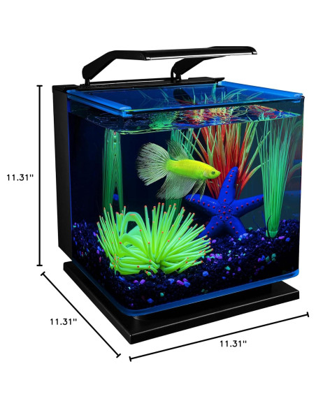 Kit Acuario GloFish Betta 11.36L LED Filtración Tetra
