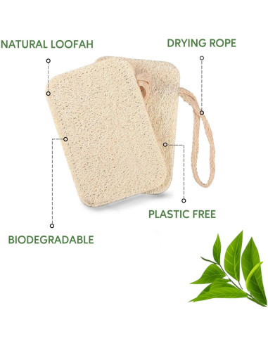 Esponjas de Lavar Platos Ecológicas eplanita - 6 Unidades de Lufa Natural