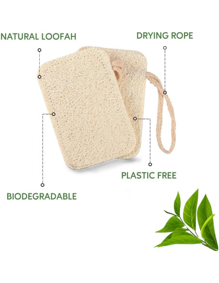 Esponjas de Lavar Platos Ecológicas eplanita - 6 Unidades de Lufa Natural