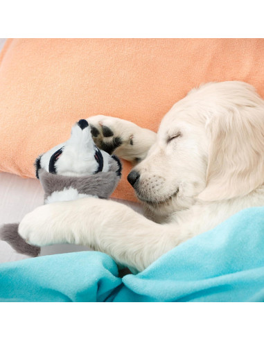 Juguetes para Perros Nocciola 2-en-1 Sin Relleno 5 Piezas