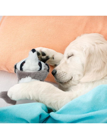 Juguetes para Perros Nocciola 2-en-1 Sin Relleno 5 Piezas