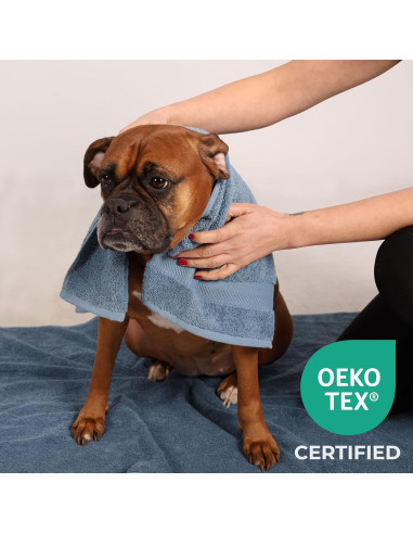 Set de Toallas de Lavado TEXTILOM 100% Algodón Aqua 4 Piezas