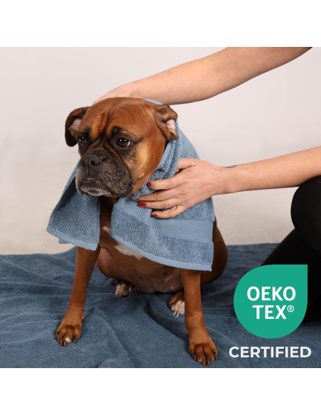 Set de Toallas de Lavado TEXTILOM 100% Algodón Aqua 4 Piezas