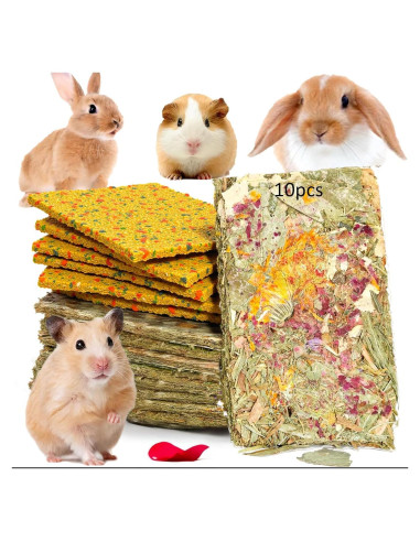 Galletas Crujientes para Conejos 10pcs - Cuidado Dental Natural