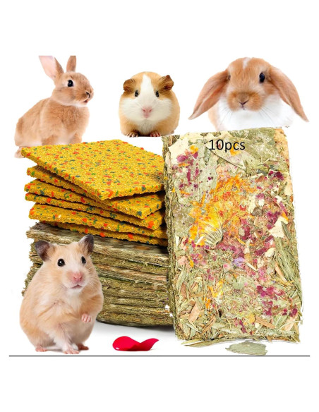 Galletas Crujientes para Conejos 10pcs - Cuidado Dental Natural