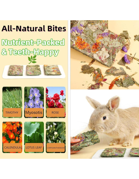 Galletas Crujientes para Conejos 10pcs - Cuidado Dental Natural