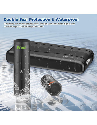 Organizador Semanal de Pastillas KingPavonini 2/3 Veces al Día